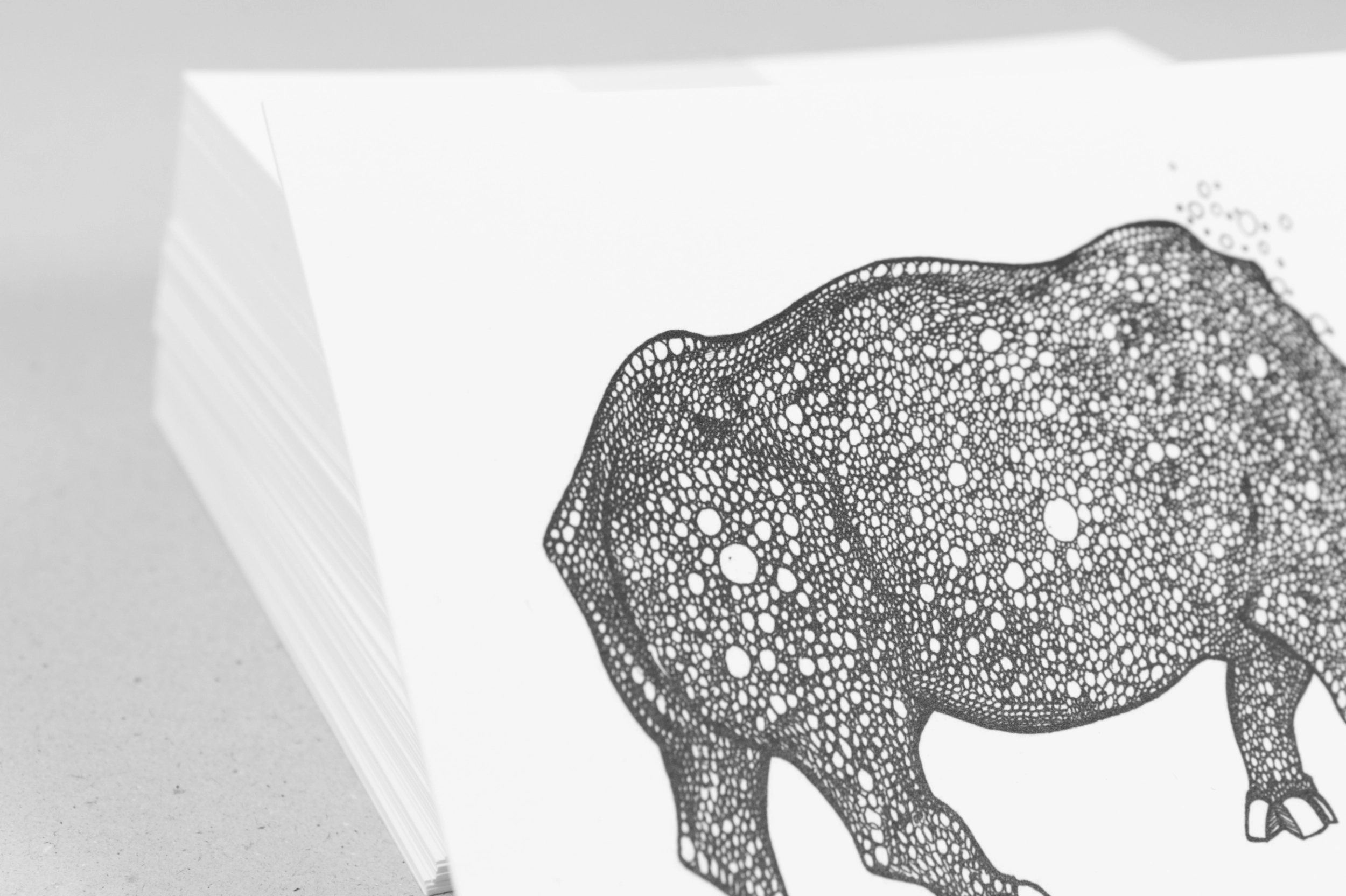 Postkarte-bio-nashorn_serie1_105x148-fiete-rakete