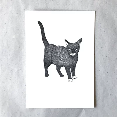 Postkarte „Katze“, 10,5 × 14,8 cm, Serie „Bio“, Schwarz-Weiß, Hauptansicht, Fiete Rakete.