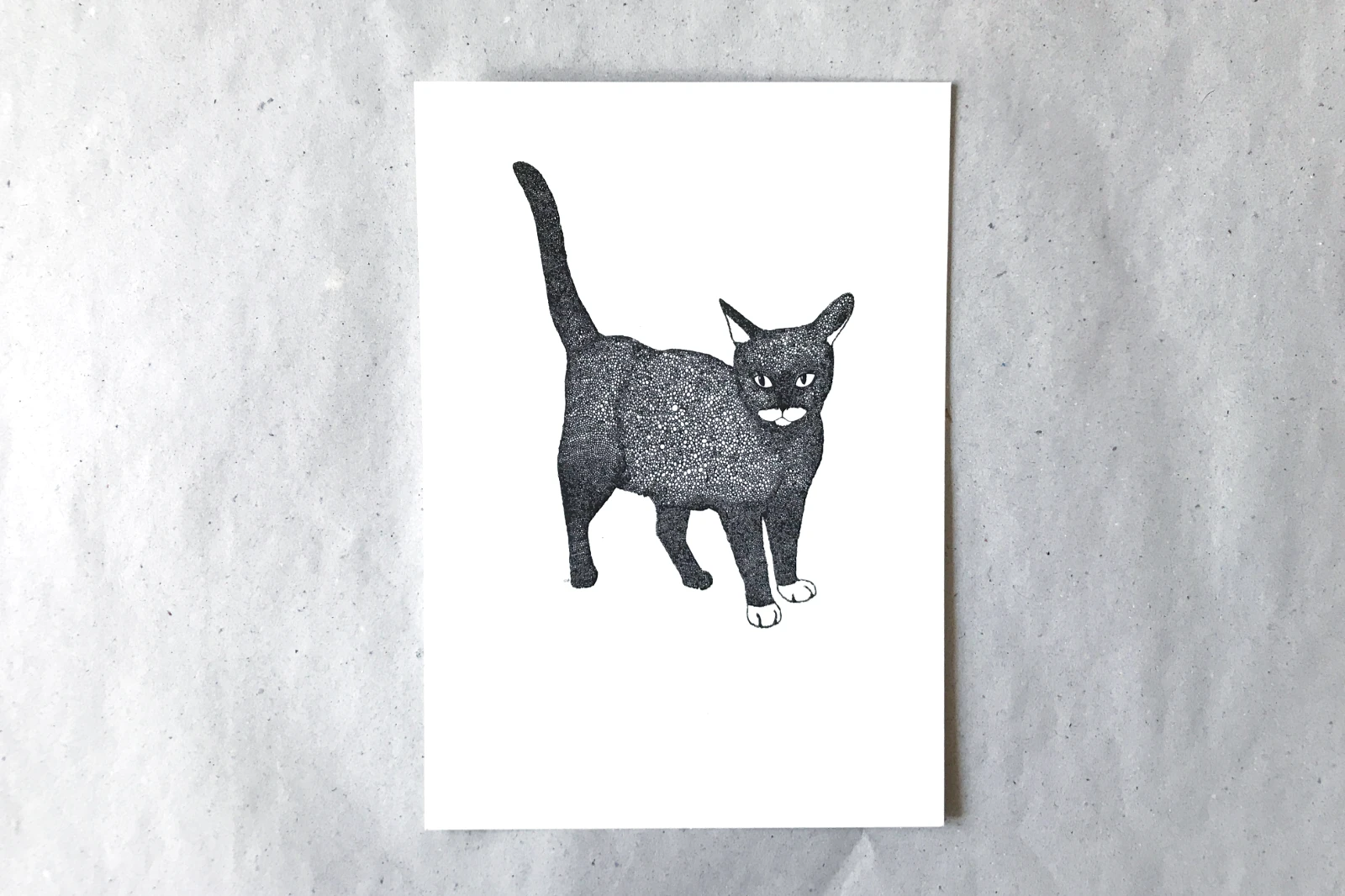 Postkarte „Katze“, 10,5 × 14,8 cm, Serie „Bio“, Schwarz-Weiß, Hauptansicht, Fiete Rakete.