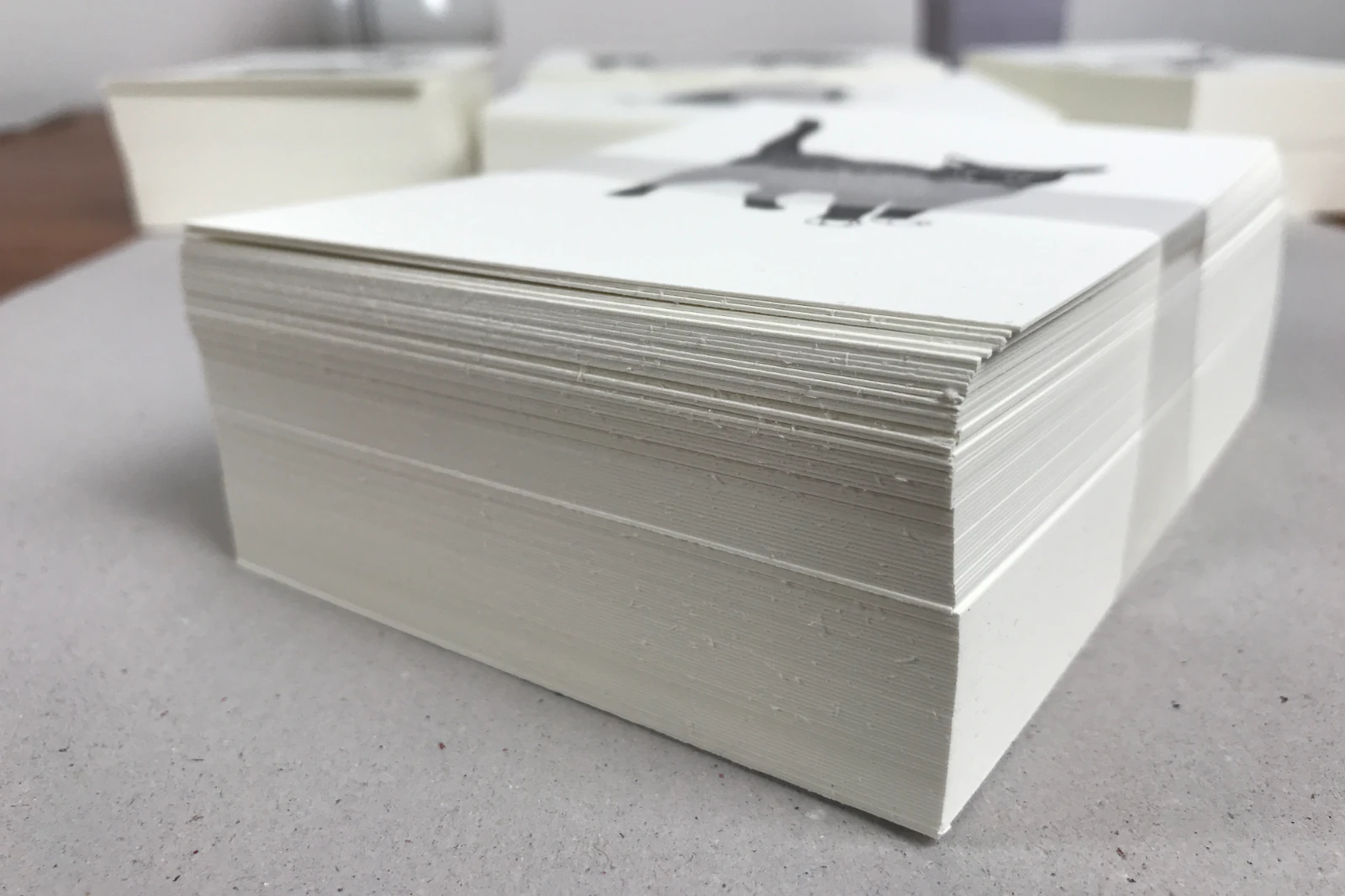 Postkarte „Katze“ im Stapel, Seitenansicht, 10,5 × 14,8 cm, Schwarz-Weiß, Serie „Bio“, Fiete Rakete.