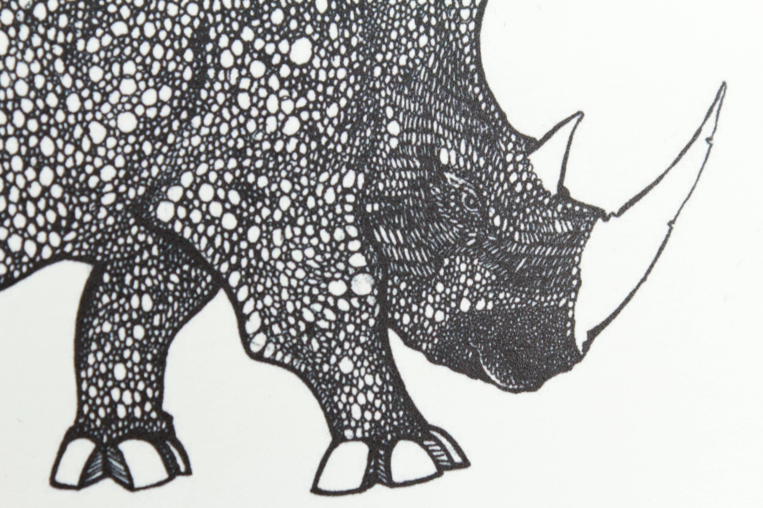 nashorn-postkarte-hauptansicht-02-fiete-rakete