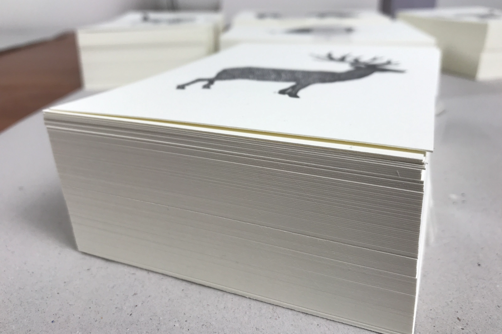 Postkartenset „Bio“ als Stapel, Karten übereinander, 14,8 × 10,5 cm, Schwarz-Weiß, Fiete Rakete.