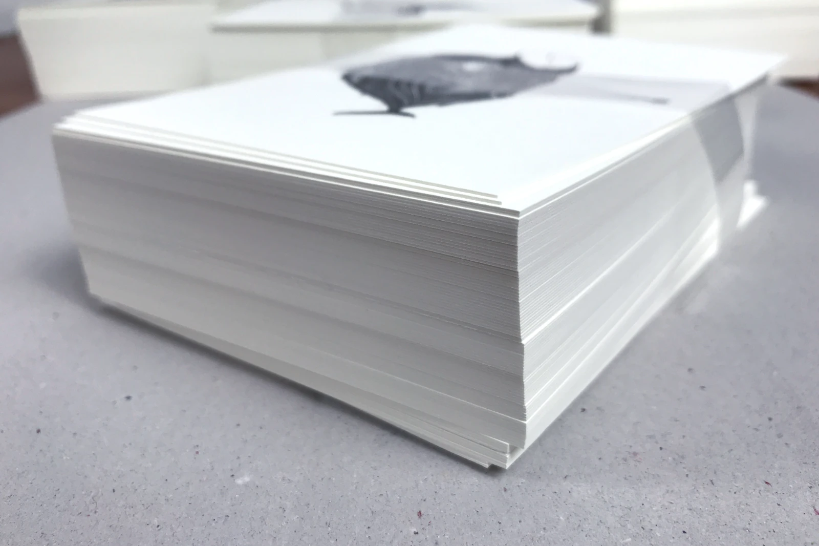 Postkarte „Fliegender Fisch“ im Stapel, Seitenansicht, 14,8 × 10,5 cm, Schwarz-Weiß, Serie „Bio“, Fiete Rakete.