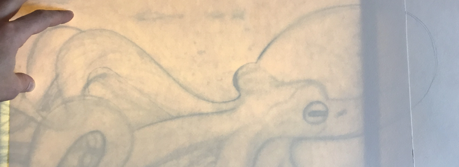 Krake-Skizze liegt auf einem eingeschalteten Leuchttisch.